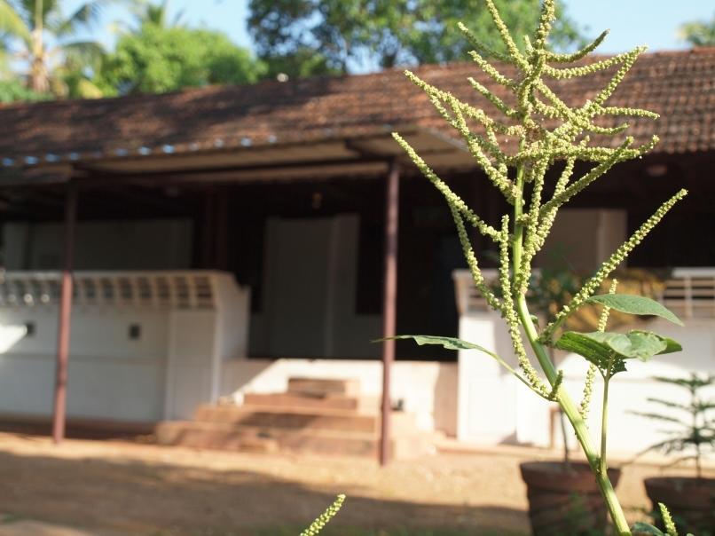 Chedi Spring Valley Hotel Athirappilly Zewnętrze zdjęcie